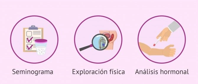 Pruebas de fertilidad en el hombre cuales son y en que consisten 2