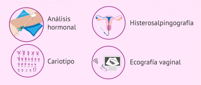 Pruebas de Fertilidad en la mujer ¿Cuáles son, como realizarlas y precios? 3 analisis hormonal