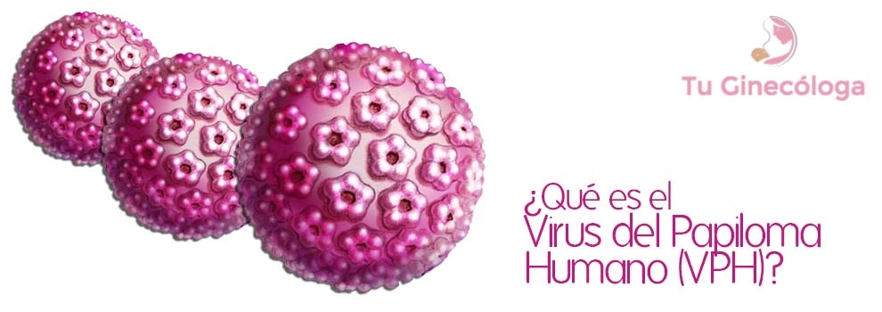 virus papiloma humano